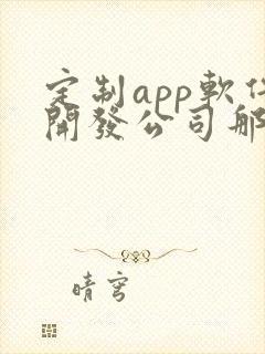 定制app软件开发公司那家好