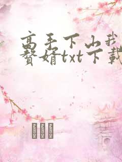 高手下山我不当赘婿txt下载全本
