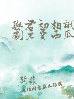 与君初相识电视剧免费西瓜