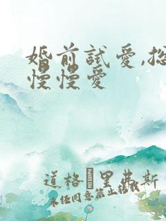 婚前试爱,总裁慢慢爱