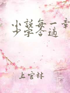 小说每一章节多少字合适