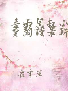 秦雨周叔小说免费阅读最新章节全文