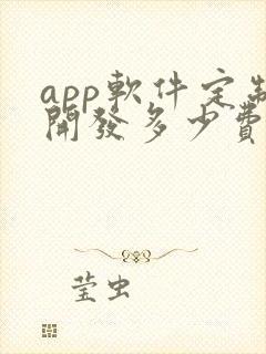 app软件定制开发多少费用