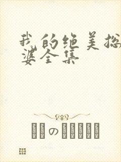 我的绝美总裁老婆全集