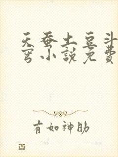 天蚕土豆斗破苍穹小说免费阅读