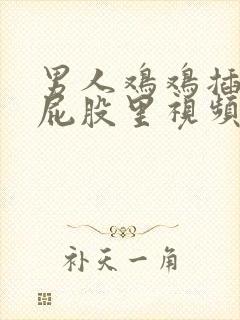 男人鸡鸡插女人屁股里视频