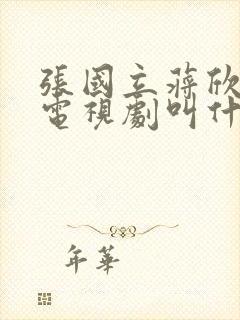 张国立蒋欣演的电视剧叫什么名字