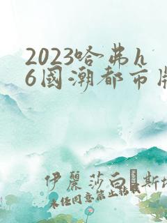 2023哈弗h6国潮都市版