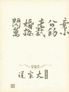 闪婚老公竟是亿万总裁的小说