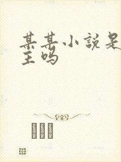 某某小说是双男主吗