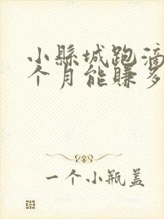 小县城跑滴滴一个月能赚多少?