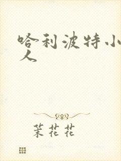 哈利波特小说同人