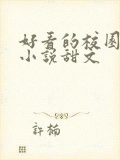 好看的校园言情小说甜文