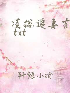 凌总追妻有点甜 txt