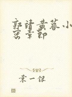 郭靖黄蓉小说亲密章节