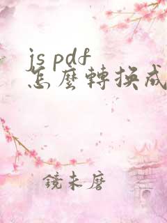 js pdf 怎么转换成word 文档