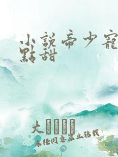 小说帝少宠妻有点甜