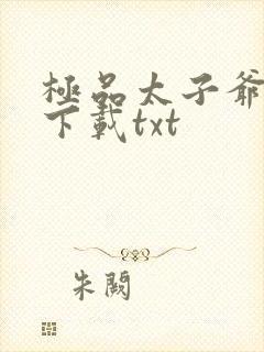 极品太子爷全本下载txt