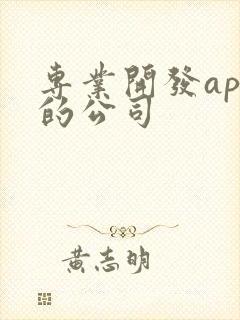 专业开发app的公司