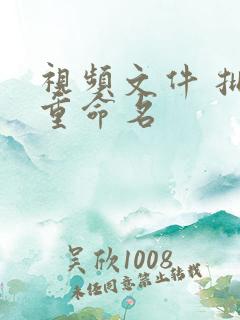 视频文件 批量重命名