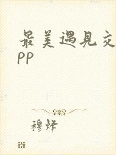 最美遇见交友app