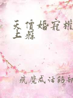 天价婚宠权少赖上瘾