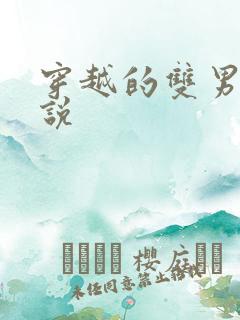 穿越的双男主小说