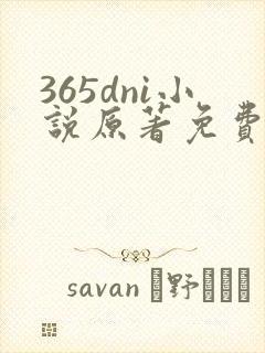 365dni小说原著免费阅读