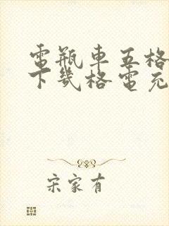 电瓶车五格电剩下几格电充电