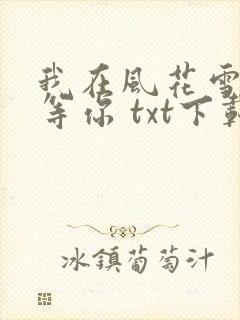 我在风花雪月里等你 txt下载