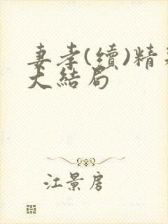 妻孝(续)精彩大结局