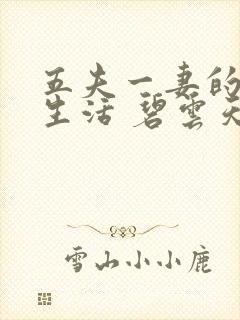 五夫一妻的幸福生活 碧云天