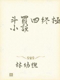 斗罗四终极斗罗小说