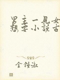 男主一见女主就想要小说古言
