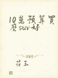 10万预算买什么suv好