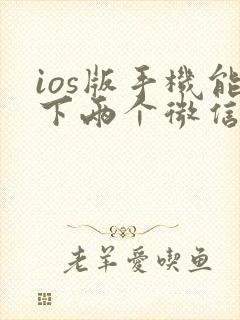 ios版手机能下两个微信吗