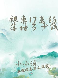 裸车17万的车落地多少钱