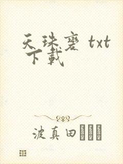 天珠变 txt 下载