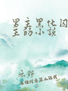 男主黑化囚禁女主的小说