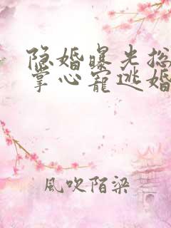 隐婚曝光总裁的掌心宠逃婚了在线阅读