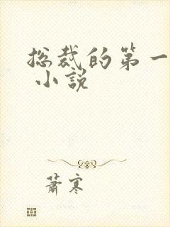 总裁的第一宠妻 小说