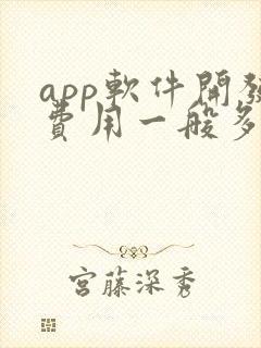 app软件开发费用一般多少钱