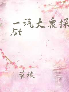 一汽大众探岳1,5t