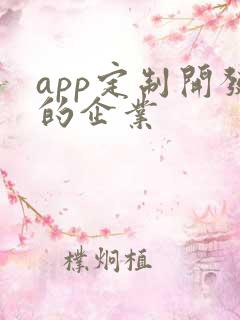 app定制开发的企业