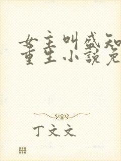 女主叫盛知婉的重生小说免费阅读