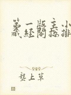 第一版主小说网藏经阁总排行