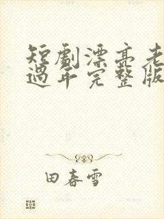 短剧漂亮老婆陪过年完整版