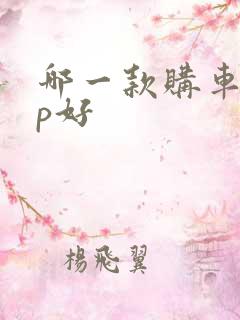 哪一款购车app好