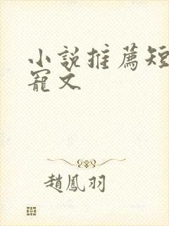 小说推荐短篇甜宠文