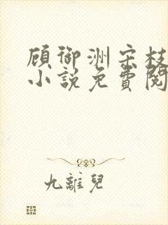 顾御洲宋枝意的小说免费阅读